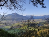Blick zum <b>Kitzbüheler Horn</b>  (Foto gespeichert zu <a href=/wanderweg/maria-blut-gmailkoepfl-23839/>Weg</a>),#