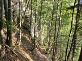 Abstecher zur <b>Lourdes Grotte</b>  (Foto gespeichert zu <a href=/wanderweg/gmailkoepfl-lourdes-grotte-23841/>Weg</a>),#