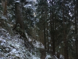 Höhenweg um den Reitstein (Foto gespeichert zu <a href=/wanderweg/brandstein-thoraualm-2123/>Weg</a>),#