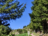 Die Hütte schon in Sicht,#