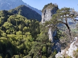 Abstieg vom kleinen Barmstein,#