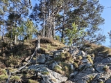 Selversicherte Stelle im Aufstieg zum großen Barmstein ,#