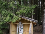 Ab der Weg Kapelle geht es steil auf breitem Weg im Wald aufwärts ,#