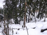 Vom kleinen Osser zur künischen Kapelle,#