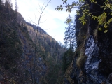 Durch die Wildenbachschlucht,#