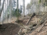 Aufstieg zum <a href=/freizeit/pelzenkaser-152615/>Pelzenkaser</a> (Foto gespeichert zu <a href=/wanderweg/strehtrumpf-pelzenkaser-7025/>Weg</a>) (Foto gespeichert zu Ziel Pelzenkaser),#