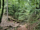 Bachüberquerung,#