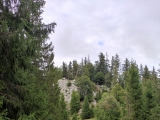 Unterhalb der <a href=/huetten/rauteck-alm-9216/>Rauteck-Alm</a> (Foto gespeichert zu <a href=/wanderweg/rauteck-alm-parkplatz-walchenseekraftwerk-11680/>Weg</a>) (Foto gespeichert zu Ausgangspunkt Rauteck-Alm),#