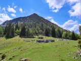 <a href=/freizeit/hintere-spitzalm-48767/>Hintere Spitzalm</a>  (Foto gespeichert zu Ausgangspunkt Hintere Spitzalm),#