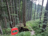 Wegweiser,#