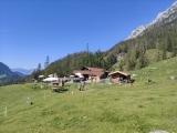 <a href=/freizeit/hinterschiesslingalm-153369/>Hinterschießlingalm</a> (Foto gespeichert zu Ziel Hinterschießlingalm),#