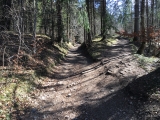 Beim Parkplatz ist der Weg noch breit,#