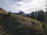 Blick über die Hölleialm zum <a href=/gipfel/juifen-1492/>Juifen</a>,#