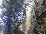 Weg,#
