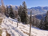Sonniger Wanderweg mit Achensee-Blick,#