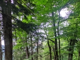 Höhenberg
