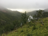 Staven