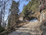 Teilweise Forststraße,#