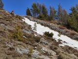 An der alten Trockenmauer entlang zum Gipfel ,#