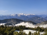 Blick nach Nordwesten über die Hundsalm zum <b>Hinteres Sonnwendjoch</b> (Foto gespeichert zu <a href=/gipfel/hundsalmjoch-13281/>Hundsalmjoch</a>),#