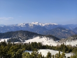 Blick nach Nordwesten über die Hundsalm zum <b>Hinteres Sonnwendjoch</b>  (Foto gespeichert zu <a href=/gipfel/hundsalmjoch-13281/>Hundsalmjoch</a>),#