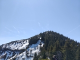 Jägernase