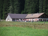 <a href=/huetten/vilsalpe-7499/>Vilsalpe</a> (Foto gespeichert zu Ausgangspunkt Vilsalpe),#
