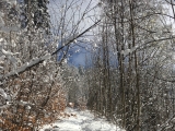 Auch im Winter eine schöne Tour,#