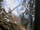 Höhenweg unterhalb des Kemeikopf (Foto gespeichert zu <a href=/wanderweg/kemeikopf-wanderparkplatz-brander-strasse-2508/>Weg</a>),#