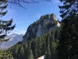 Blick auf die Wasserwand (Foto gespeichert zu <a href=/wanderweg/kindlwand-wasserwand-2987/>Weg</a>),#