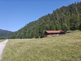 Kloaschaualm