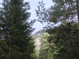 Wanderweg,#