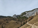 Fahrweg ab der Alm,#