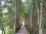 Wanderweg neben der Mautstraße,#