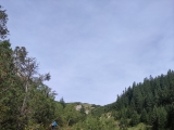 Aufstieg neben dem Weltlingbach,#