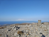 Kochylas