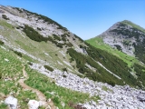 Weg,#