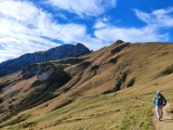 Ein viel begangener Weg,#