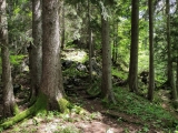 Im oberen Teil steil bergauf,#