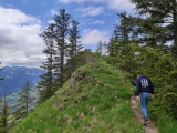Kurz vor dem Grasleitenstein (Foto gespeichert zu <a href=/wanderweg/grasleitenkopf-grasleitenstein-1075/>Weg</a>),#