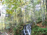 Wasserfall,#
