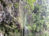 Feuchter Durchgang,#