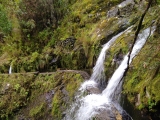 Levada do Furado