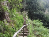 Aufstieg zur auf mittlerer Höhe liegenden <a href=/freizeit/levada-nova-153420/>Levada Nova</a>  (Foto gespeichert zu <a href=/wanderweg/levada-de-moinho-levada-nova-24651/>Weg</a>) (Foto gespeichert zu Ausgangspunkt Levada Nova),#