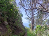 Die sehr verfallene <a href=/freizeit/levada-do-techo-153441/>Levada do Techo</a>  ,#