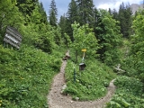 Links zur Edenalpe,#