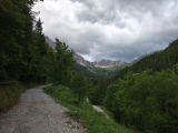 Forststraße im Mittelteil ,#