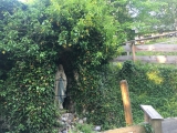 Nicht wirklich eine Grotte (Foto gespeichert zu Ausgangspunkt Lourdesgrotte),#