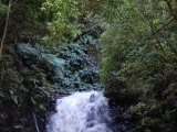 Wasserfall (Foto gespeichert zu Ziel Madre da Levada Nova),#