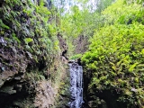 Makamakaole Falls